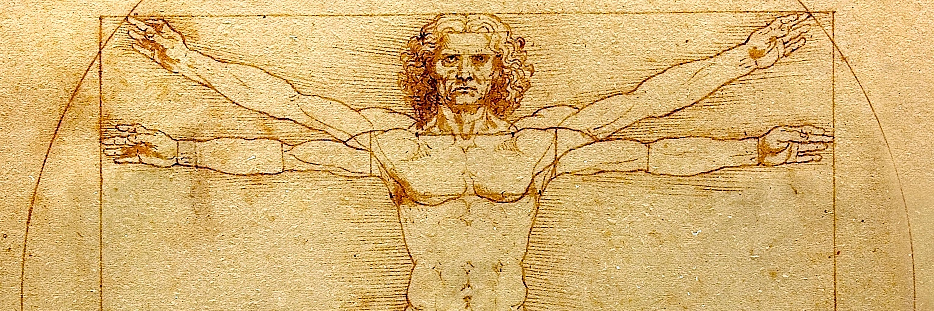 The Vitruvian Man by Leonardo Divinci artwork