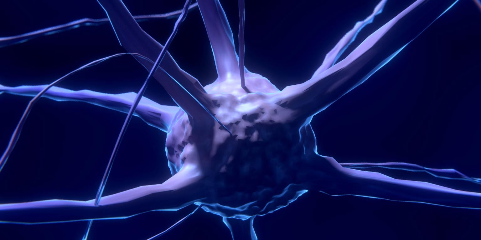 Three dimensional Illustration of nerves